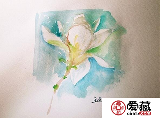 玉兰花明信片