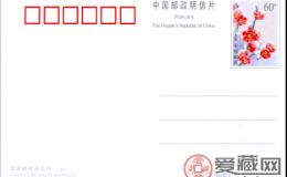 梅花明信片收藏价值非同一般