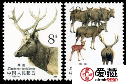 T132麋鹿（有齿）邮票的收藏价值分析