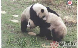 熊猫明信片收藏价值如何