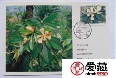 木兰明信片