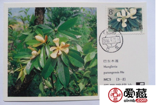 木蘭明信片