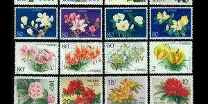中国花卉特种邮票全值得收藏