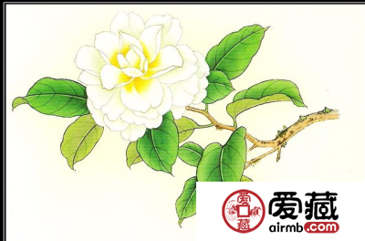 山茶花明信片