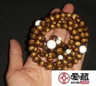 金珊瑚