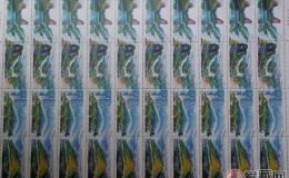1994-13T 《武夷山》整版票的收藏价值