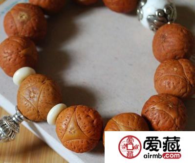 龙眼菩提
