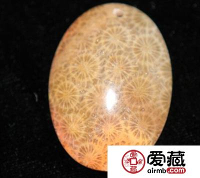 珊瑚玉