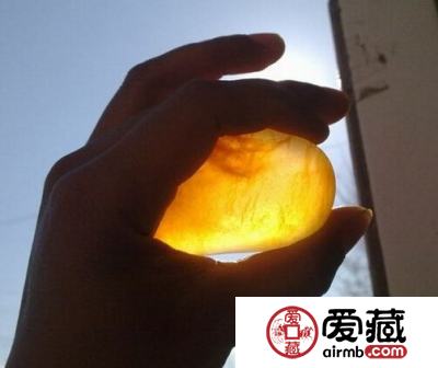 金丝玉