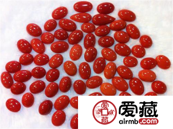 红珊瑚图片欣赏以及红珊瑚的种类