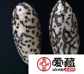 千眼菩提备受人们喜爱