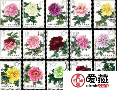 特61 牡丹美观又值钱
