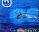  2010-18《中国航海日》 大版票是首枚海洋主题的邮票