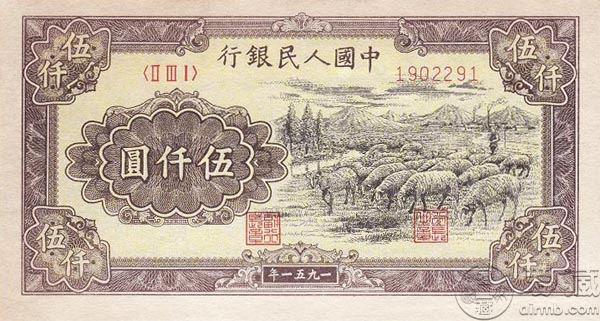 51年5000元牧羊