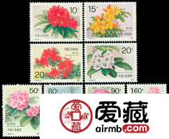 T162杜鹃花邮票资讯