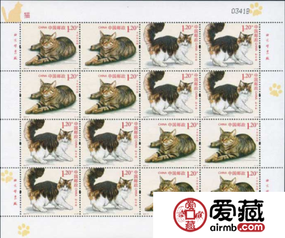2013-17 猫 大版介绍四种不同种类的猫