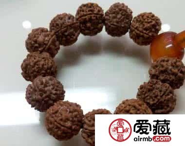 菩提子