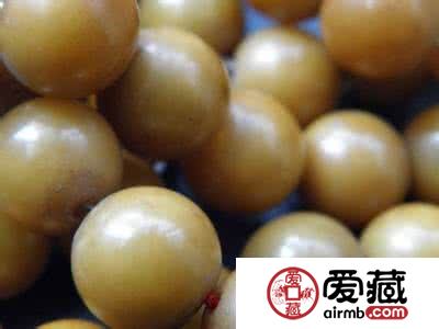 菩提子