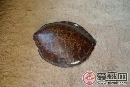 市面上经常有用牛角来冒充玳瑁欺骗消费者,而牛角的色泽远不如玳瑁