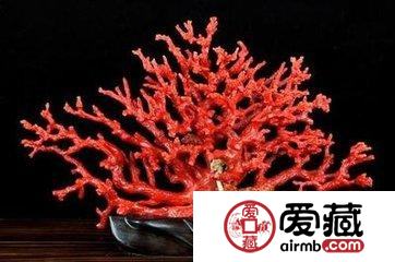 红珊瑚价格跟什么有关