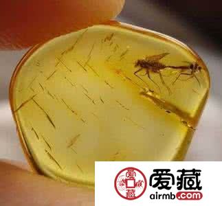 什么因素会对琥珀的价格造成影响