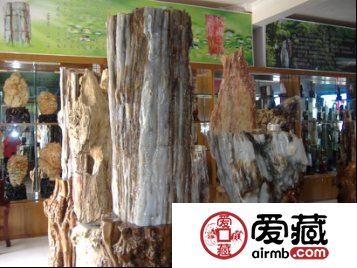 树化玉有什么特点?它的价格如何?