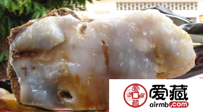 如何鉴别树化玉