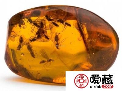 琥珀怎么分辨真假?最实用琥珀鉴别方法大盘点