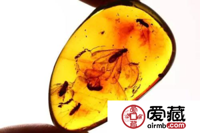 琥珀有哪些种类?琥珀的种类大盘点