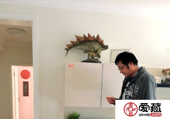 看设计师答微友问2018狗年纪念币