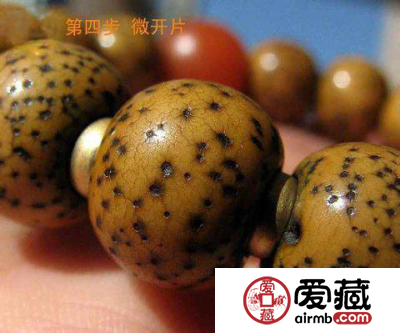 星月菩提盘玩变化图 盘玩变化的八个阶段