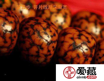 星月菩提盘玩变化图 盘玩变化的八个阶段