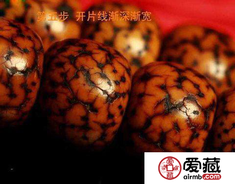星月菩提盘玩变化图 盘玩变化的八个阶段