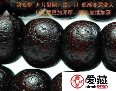 星月菩提盘玩变化图 盘玩变化的八个阶段