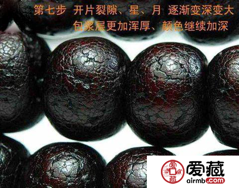 星月菩提盘玩变化图 盘玩变化的八个阶段
