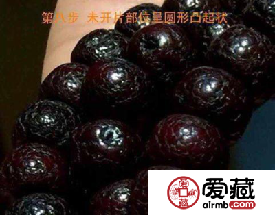 星月菩提盘玩变化图 盘玩变化的八个阶段