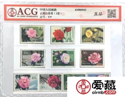 爱藏评级2018年3月1日起收费标准