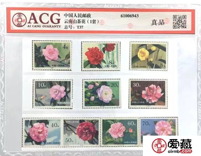 爱藏评级进化史复盘