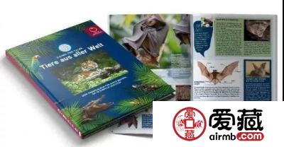 一波颜值超高的硬币正在靠近......