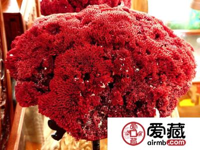 哪些颜色的红珊瑚价值不菲?