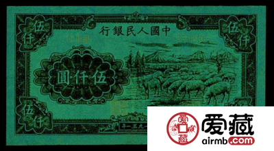 51年5千元绵羊市场行情