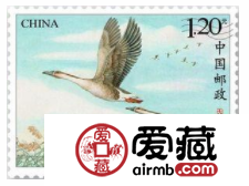 《大雁》特种邮票即将发行
