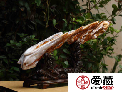樹化玉價格多少適合送給別人？