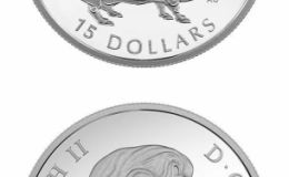 加拿大发行猪年纪念币，“猪坚强”来了！