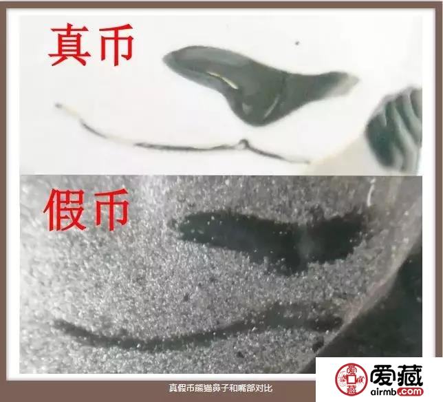 2018普制熊猫银币真假难辨？一文教你识别！
