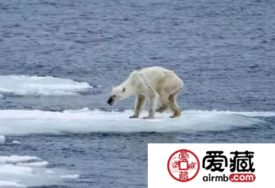北极熊纪念币发行