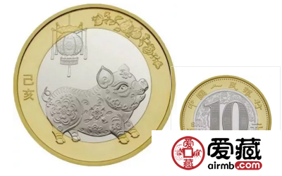 这么多“猪年纪念币”，你最喜欢哪一枚？
