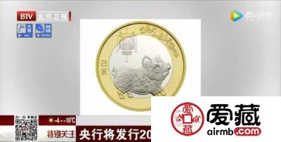 猪年生肖纪念币2.5亿的量，还要熬夜抢吗？