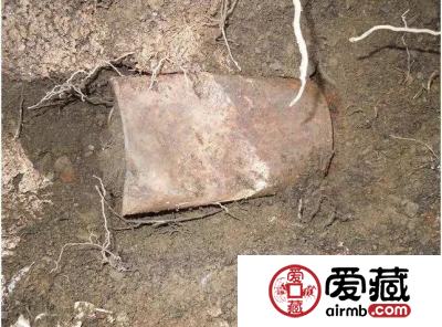 美夫妇遛狗时发现一罐金币，竟是百年前劫匪所藏！