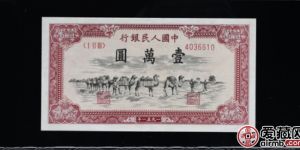 1万元骆驼队价格【鉴定 行情 投资分析】